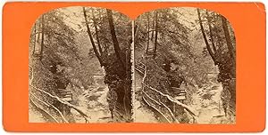 STEREO USA, New York State, Watkins Glen, Cathedral Gorge, back view, circa 1870