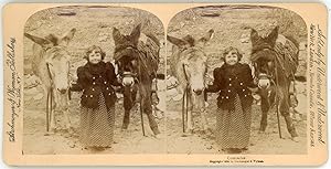 Stereo Comrades, Little girl holding donkeys, 1894