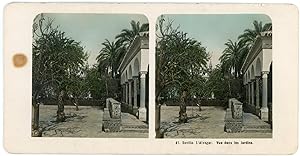Stereo Espagne, Séville, Sevilla, Alcazar, vue dans les jardins, circa 1900, colorisée