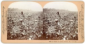 Stereo, Keystone View Company, B. L. Singley, A Family of Cotton Pickers, Ga., U. S. A.