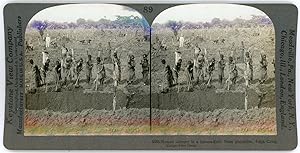 Stereo, Keystone View Company, Underwood & Underwood, Women laborers in a banana field, State pla...