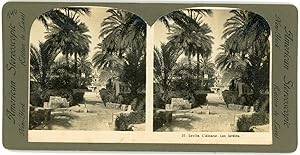 Stereo Espagne, Séville, Sevilla, Alcazar, les jardins, circa 1900