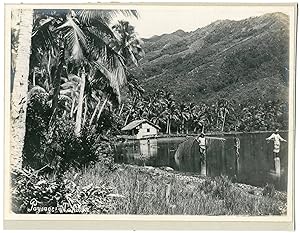 Gauthier Tahiti, Papeete