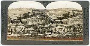 Stereo, Palestine, Jerusalem, Garden of Gethsemane and Mount of Olives, circa 1900