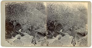 Stereo, Torrent dans les rochers, cascade à identifier, circa 1900