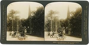Stereo Brésil, Brasil, Rio de Janeiro, jardin public, public gardens, 1908