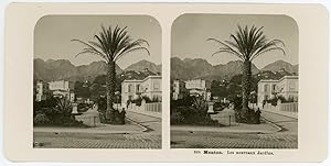 Stereo, Neue Photographische Gesellschaft A. G., France, Menton, Les nouveaux Jardins