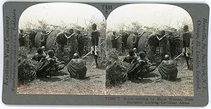 Stereo, East Africa, House building by Masai women, circa 1900