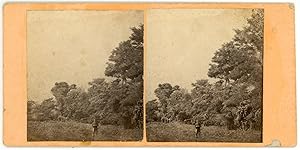 STEREO France, Paysage dans la campagne, circa 1870