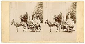 Stereo, Famille en promenade en voiture tirée par un âne, circa 1900