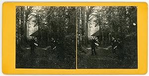 Stereo, Deux hommes en promenade dans la forêt, circa 1900
