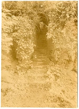 Irlande, Interior Blarney Castle