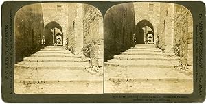 Stereo, Palestine, Jerusalem, Street leading to Herode's Palace, 1901