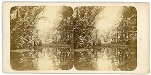 STEREO Lieu à identifier, étang dans une forêt, circa 1870