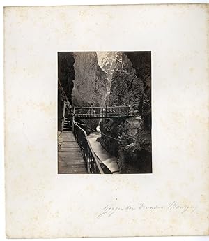 Adolphe Braun, Suisse, Gorge du Trient a Martigny