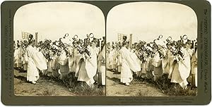 Stereo, Japon, Japan, Shinto priests in funeral procession, 1906