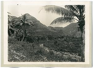 Gauthier Tahiti, Papeete, Diadome