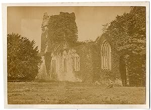 Irlande, Killarney, Muckross Abbey, William Lawrence