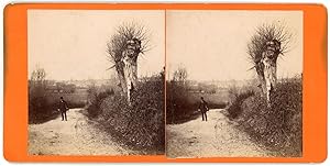 Stereo, Homme sur un chemin de campagne, circa 1880