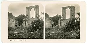 Stereo, Allemagne, Deutschland, Walkenried, Klosterruine, circa 1900