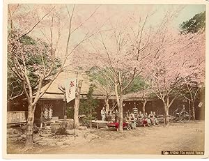 Japan, Uyeno tea house, Tokyo