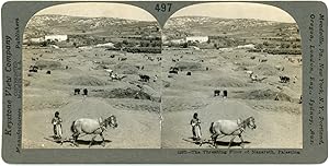 Stereo, Palestine, The threshing floor of Nazareth, circa 1900