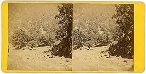 Stereo, Torrent en montagne à identifier, circa 1880