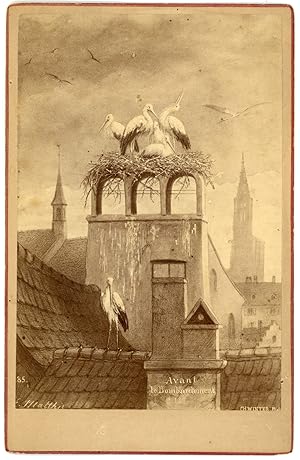 France, Strasbourg Avant le bombardement, Mathis, Ch.Winter