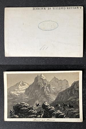 Suisse, Schweiz, Chasse au chamois près de St Moritz, d'après un dessin, circa 1870