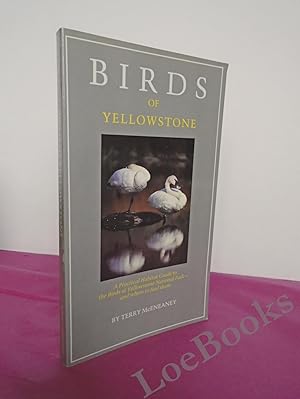 Birds of Yellowstone