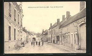 Carte postale Sceaux-du-Gatinais, Rue de Beaumond