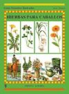 Seller image for Hierbas para caballos (Guas ecuestres ilust.) for sale by AG Library