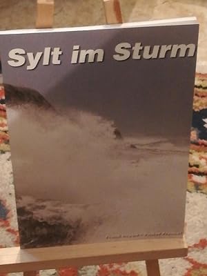 Seller image for Sylt im Sturm for sale by Verlag Robert Richter