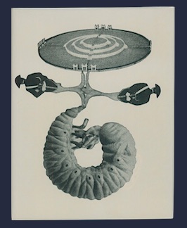 Bild des Verkufers fr Caesar's Gate: Poems 1949-50. zum Verkauf von Jeff Maser, Bookseller - ABAA