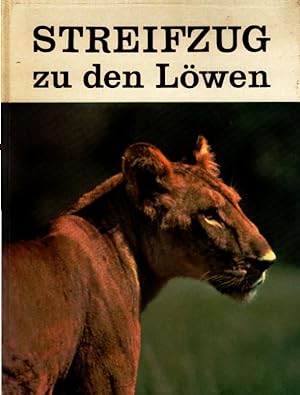 Streifzug zu den Löwen. Zeichnungen: Paul Racle.