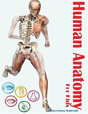 Seller image for Human Anatomy for Kids for sale by GreatBookPricesUK