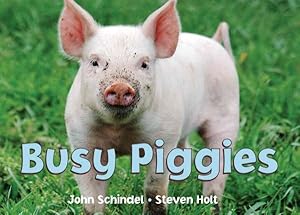 Immagine del venditore per Busy Piggies venduto da GreatBookPricesUK