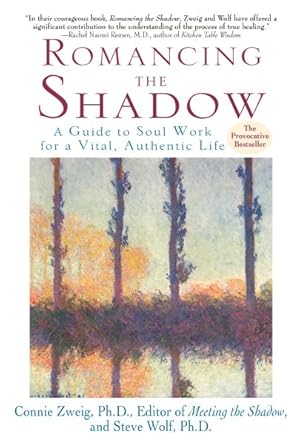 Image du vendeur pour Romancing the Shadow : A Guide to Soul Work for a Vital, Authentic Life mis en vente par GreatBookPricesUK