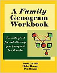 Seller image for FAMILY GENOGRAM WORKBOOK for sale by GreatBookPricesUK