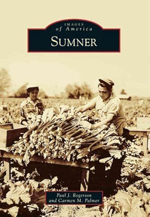 Seller image for Sumner for sale by GreatBookPricesUK
