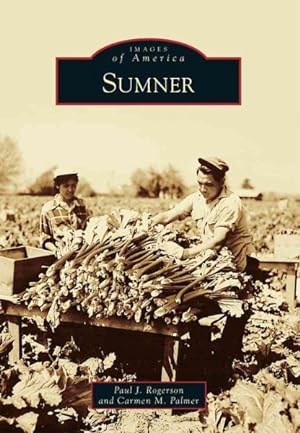 Seller image for Sumner for sale by GreatBookPricesUK
