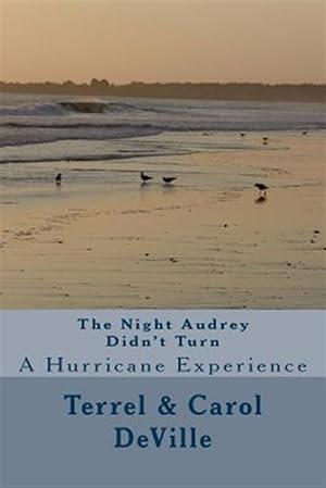 Seller image for Night Audrey Didn't Turn : A Hurricane Experience for sale by GreatBookPricesUK