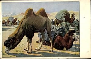 Bild des Verkufers fr Knstler Ansichtskarte / Postkarte Meinholds Schulbilder, Kamele in der Wste, Karawane zum Verkauf von akpool GmbH
