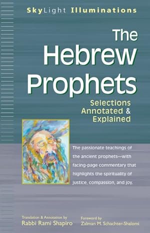 Bild des Verkufers fr Hebrew Prophets : Explained zum Verkauf von GreatBookPricesUK