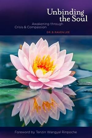 Bild des Verkufers fr Unbinding the Soul : Awakening Through Crisis and Compassion zum Verkauf von GreatBookPricesUK