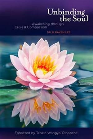 Bild des Verkufers fr Unbinding the Soul : Awakening Through Crisis and Compassion zum Verkauf von GreatBookPricesUK