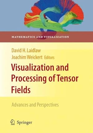Imagen del vendedor de Visualization and Processing of Tensor Fields : Advances and Perspectives a la venta por GreatBookPricesUK