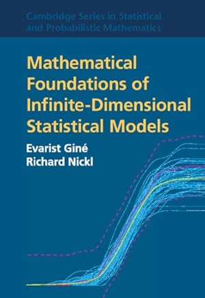Bild des Verkufers fr Mathematical Foundations of Infinite-Dimensional Statistical Models zum Verkauf von GreatBookPricesUK