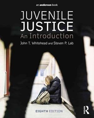 Seller image for Juvenile Justice : An Introduction for sale by GreatBookPricesUK