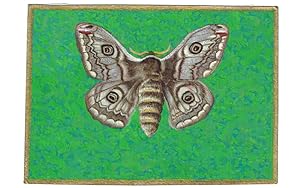 Motten und Schmetterlinge, 1958/59